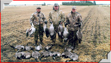Goose and Duck Hunting with Trophy Stalkers